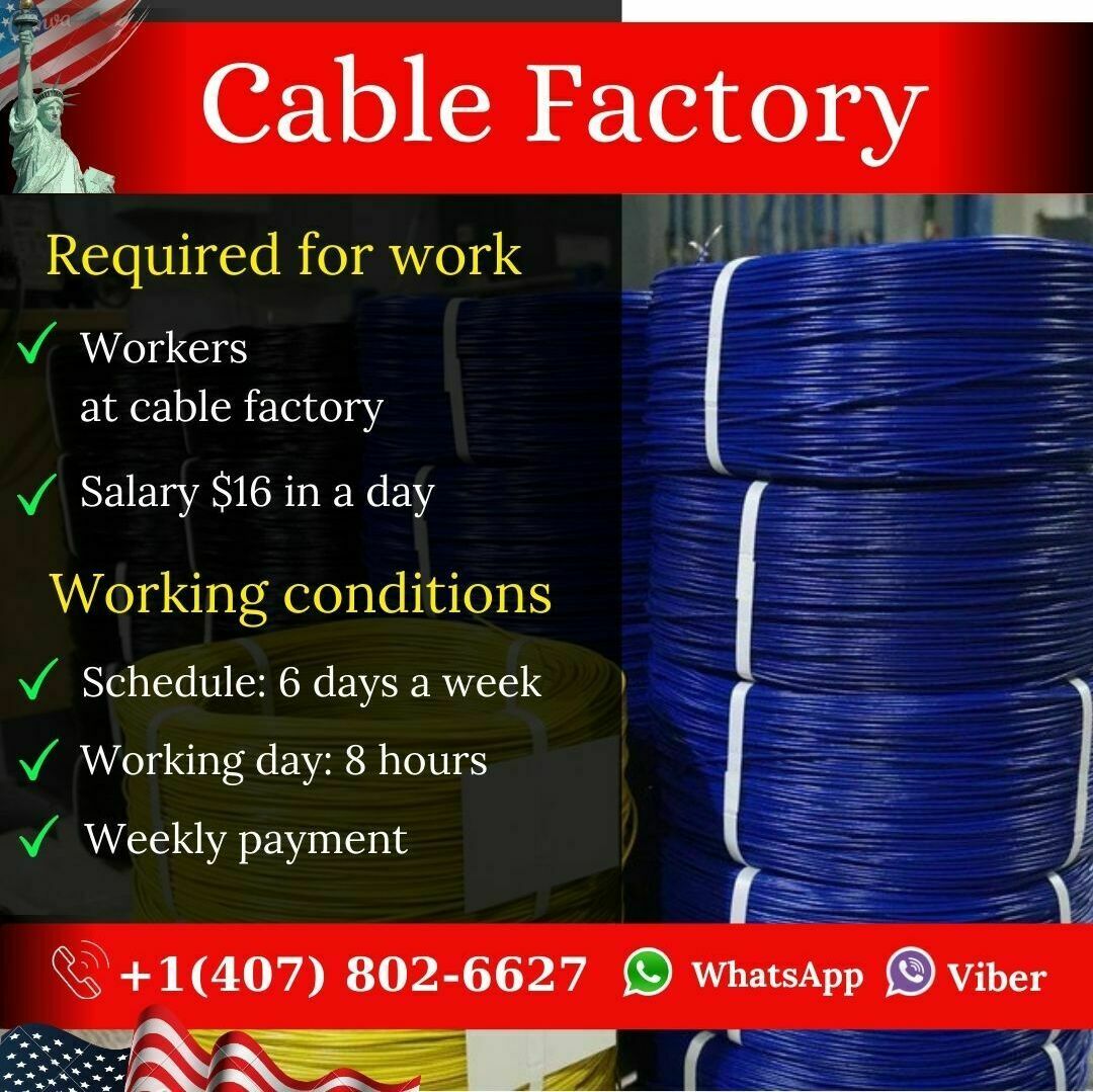 В Индии, начиная с детства, женский род ходит с точками на лбу. Кругом было тихо, как будто все вымерли...